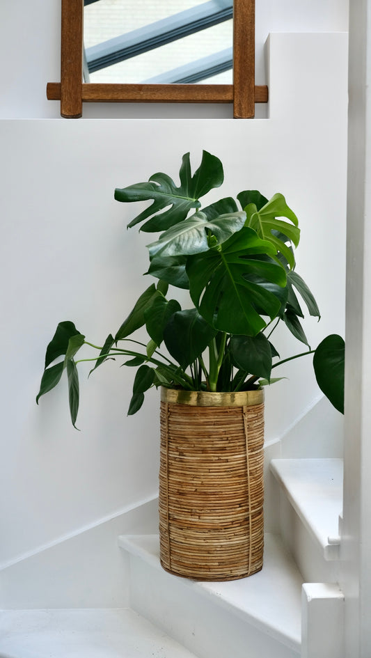 Jardinière en rotin et laiton dlg de Gabriella Crespi