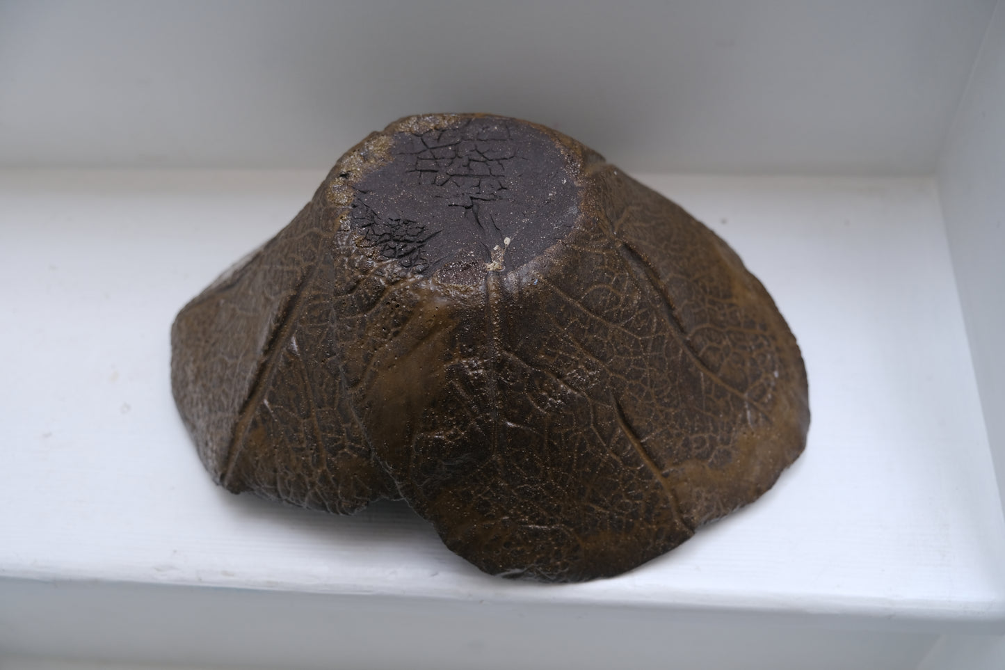 Coupe en céramique feuillage - Objets d'art - La Nouvelle Galerie