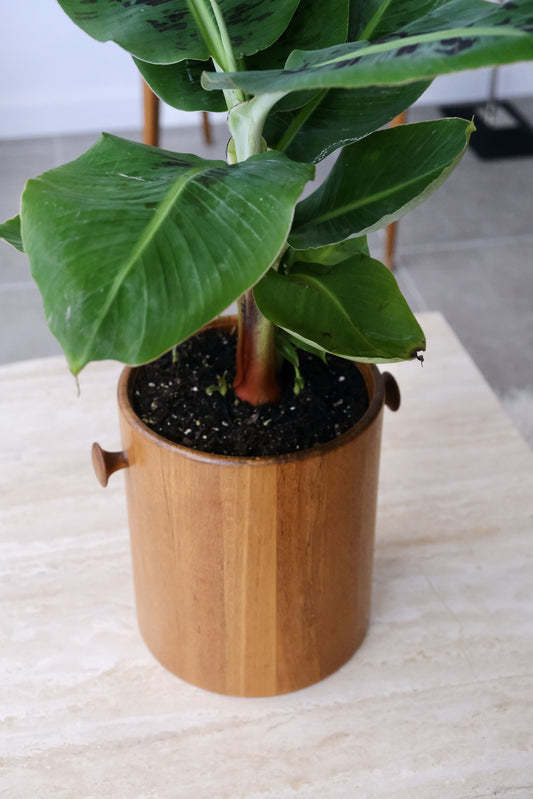 Cache-Pot en teck danois